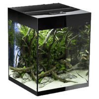 Aquarium Glossy Cube Noir Laqué LED AQUAEL - 135L