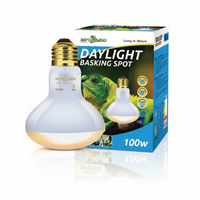 Lampe Basking Spot Daylight REPTIZOO - 100W