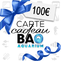 Carte-cadeau 100 €