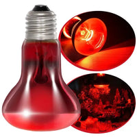 Infrared Basking Spot REPTIZOO - Lampe Chauffante Infrarouge 50W