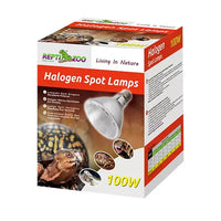 Spot Halogène REPTIZOO - 100W