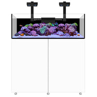 Infinia Frag 125.4 Blanc WATERBOX - Aquarium Récifal 295 L