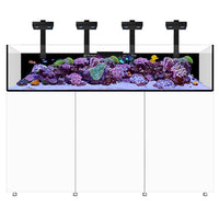 Infinia Frag 175.6 Blanc WATERBOX - Aquarium Récifal 446 L