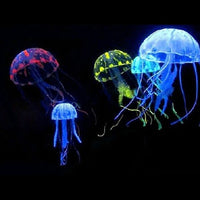 Fluo Reef Jelly Fish x 6 AMTRA - Méduse Lumineuse