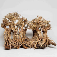 Sculpture Bois Layout Forest AQUADECO XL - 80 x 45 cm