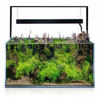 Aquarium UltraScape 90 Set AQUAEL - Forest 240 L