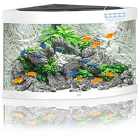 Aquarium Trigon 190 LED Blanc Équipé JUWEL - 190L