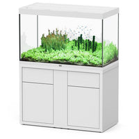 Sublime 120 x 60 AQUATLANTIS Blanc Laqué - Aquarium Equipé 433 L