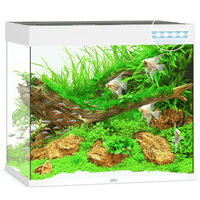 Aquarium Lido 200 LED Blanc Équipé JUWEL - 200L