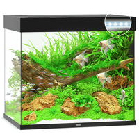Aquarium Lido 200 LED Noir Équipé JUWEL - 200L