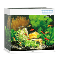 Aquarium Lido 120 LED Blanc Équipé JUWEL - 120L