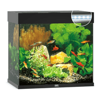 Aquarium Lido 120 LED Noir Équipé JUWEL - 120L