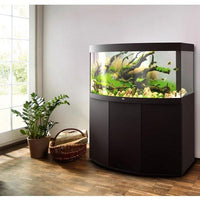 Aquarium Vision 260 LED Noir Tout Équipé JUWEL - 260L