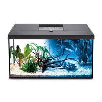 Aquarium Leddy 75 Day and Night Noir AQUAEL Équipé - 105L