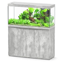 Splendid 120 AQUATLANTIS Béton - Aquarium Equipé 240 L