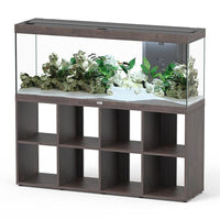 Splendid 150 AQUATLANTIS Standard Chêne Sauvage - Aquarium Equipé 298 L