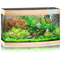 Aquarium Vision 180 LED Chêne Tout Équipé JUWEL - 180L