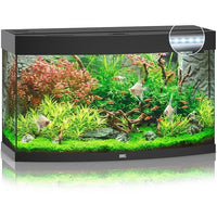 Aquarium Vision 180 LED Noir Tout Équipé JUWEL - 180L
