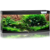 Aquarium Vision 450 LED Noir Tout Équipé JUWEL - 450L