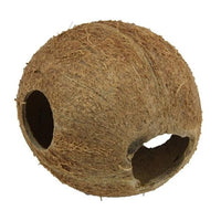 Cocos Cava 1/1 M JBL - Grotte Noix de Coco