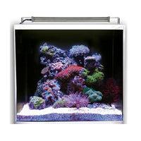 Aquarium Nano Ocean Cube Set 50 DUPLA Marin - 48L