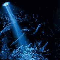 Bubble Air Spot Moon HOBBY - Spot LED bleu submersible