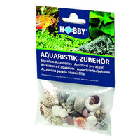 Sea Shells Set S HOBBY - Lot de 20 Coquillages Naturels