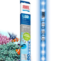 LED Blue JUWEL 1047 mm - 29W