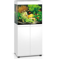 Aquarium Lido 120 LED Blanc Équipé JUWEL - 120L