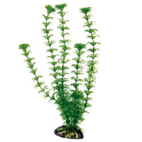 Plante Artificielle Cabomba AMTRA