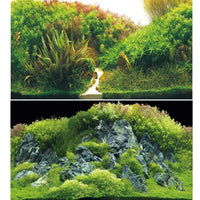 Poster de Fond Double Face Planted River / Green Rocks - HOBBY 60 x 30 cm