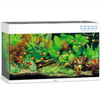 Aquarium Rio 125 LED Blanc Équipé JUWEL - 125L