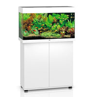 Aquarium Rio 125 LED Blanc Équipé JUWEL - 125L