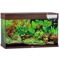 Aquarium Rio 125 LED Brun Équipé JUWEL - 125L