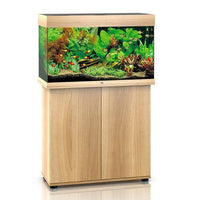 Aquarium Rio 125 LED Chêne Équipé JUWEL - 125L