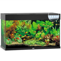 Aquarium Rio 125 LED Noir Équipé JUWEL - 125L