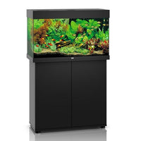 Aquarium Rio 125 LED Noir Équipé JUWEL - 125L