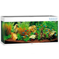 Aquarium Rio 240 LED Blanc Équipé JUWEL - 240L