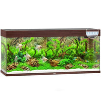 Aquarium Rio 240 LED Brun Équipé JUWEL - 240L
