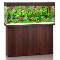 Aquarium Rio 240 LED Brun Équipé JUWEL - 240L