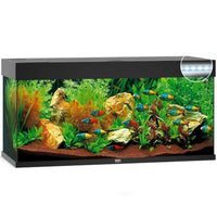 Aquarium Rio 240 LED Noir Équipé JUWEL - 240L