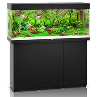 Aquarium Rio 240 LED Noir Équipé JUWEL - 240L