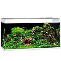Aquarium Rio 350 LED Blanc Équipé JUWEL - 350L