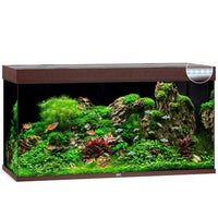 Aquarium Rio 350 LED Brun Équipé JUWEL - 350L