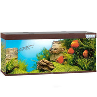 Aquarium Rio 450 LED Brun Équipé JUWEL - 450L