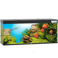 Aquarium Rio 450 LED Noir Équipé JUWEL - 450L