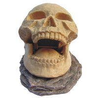 Tête de Mort Skull Opening - 15,5 cm