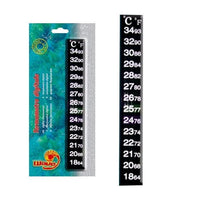 Thermomètre Digital - AMTRA