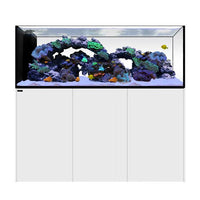 Peninsula 6025 Blanc WATERBOX - Aquarium Marin 527 L