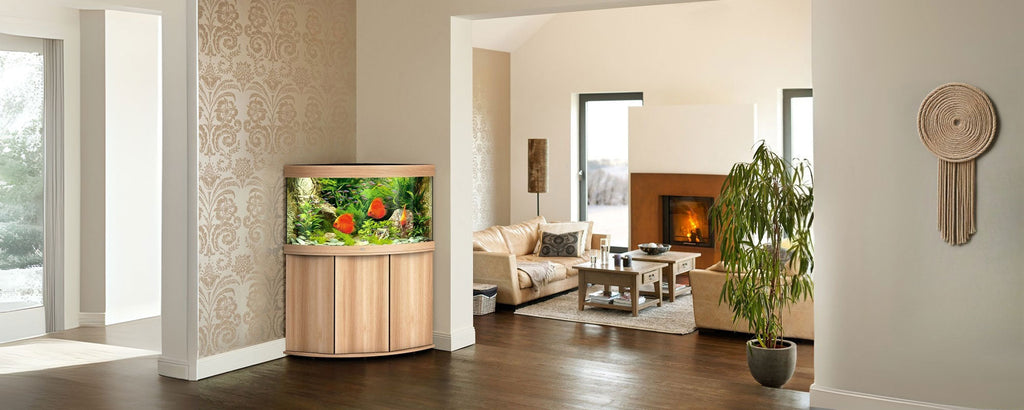 Juwel Corner Aquariums Trigon : L'arte di ottimizzare lo spazio con lo stile